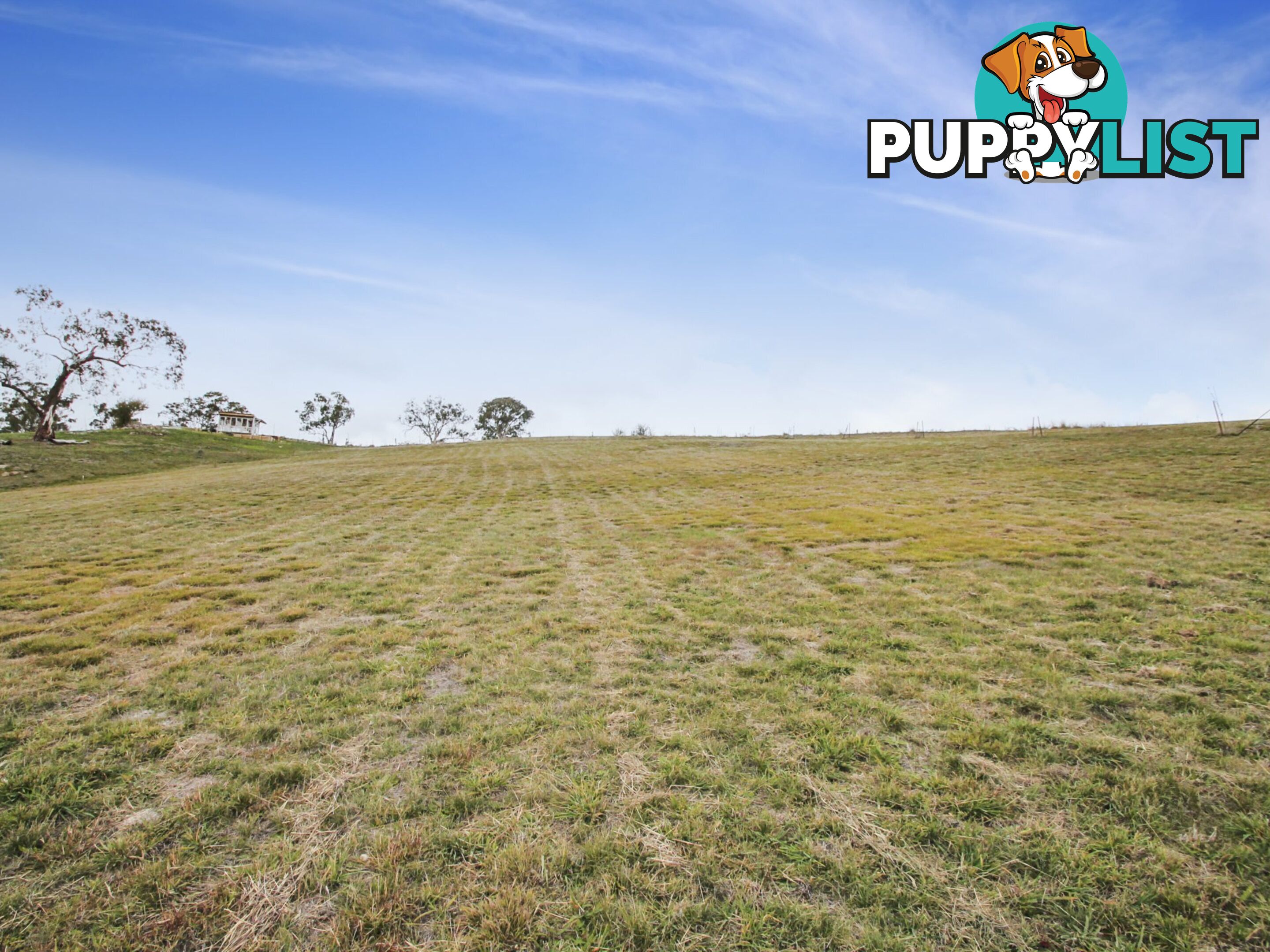 Lot Lot 64/11 Wills Street OMEO VIC 3898