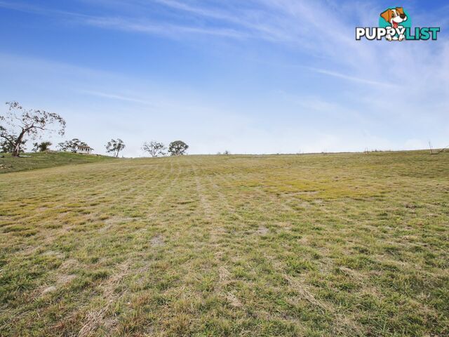 Lot Lot 64/11 Wills Street OMEO VIC 3898