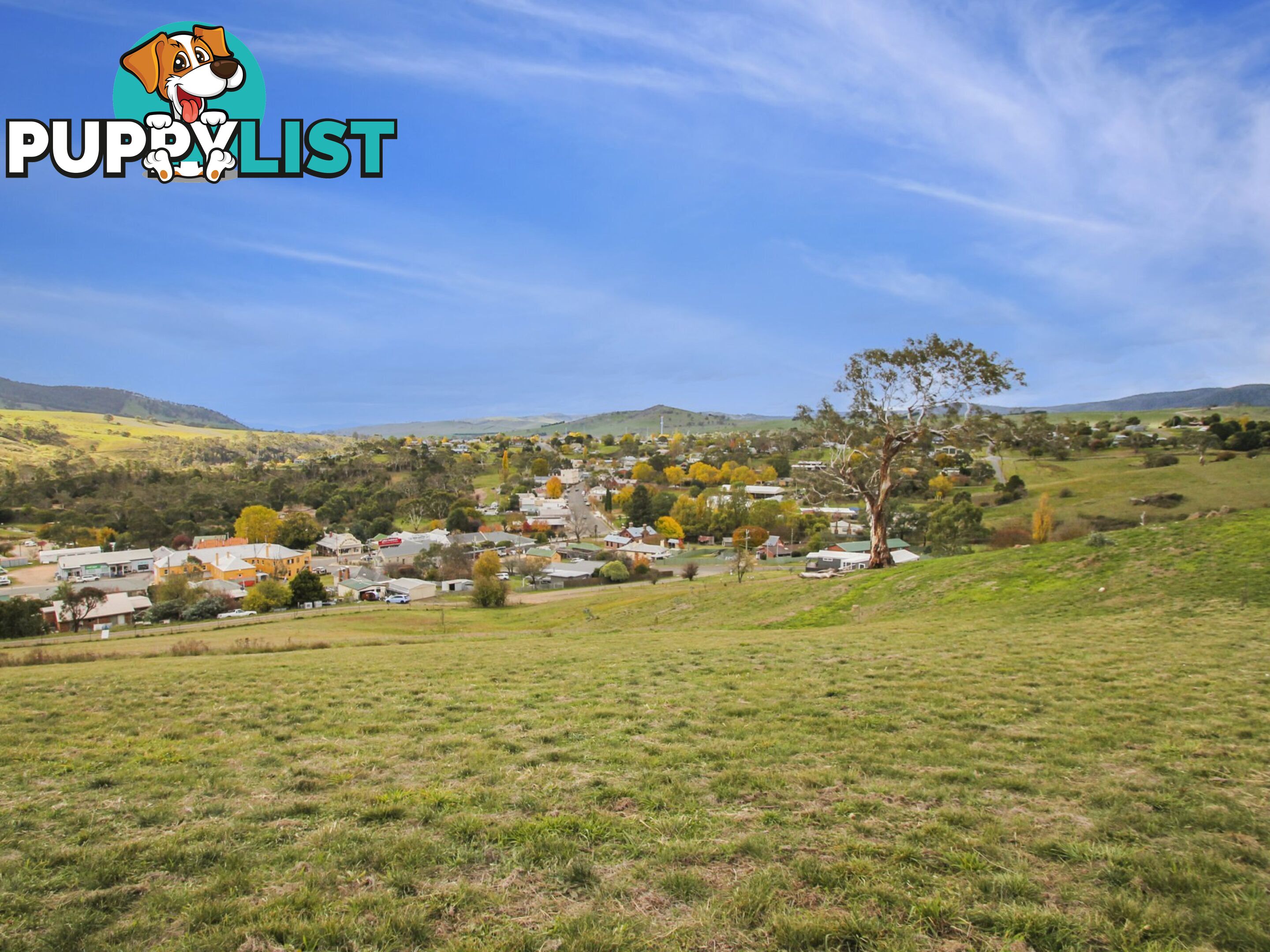 Lot Lot 64/11 Wills Street OMEO VIC 3898