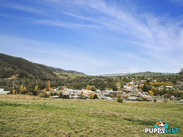 Lot Lot 64/11 Wills Street OMEO VIC 3898