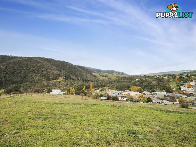 Lot Lot 64/11 Wills Street OMEO VIC 3898