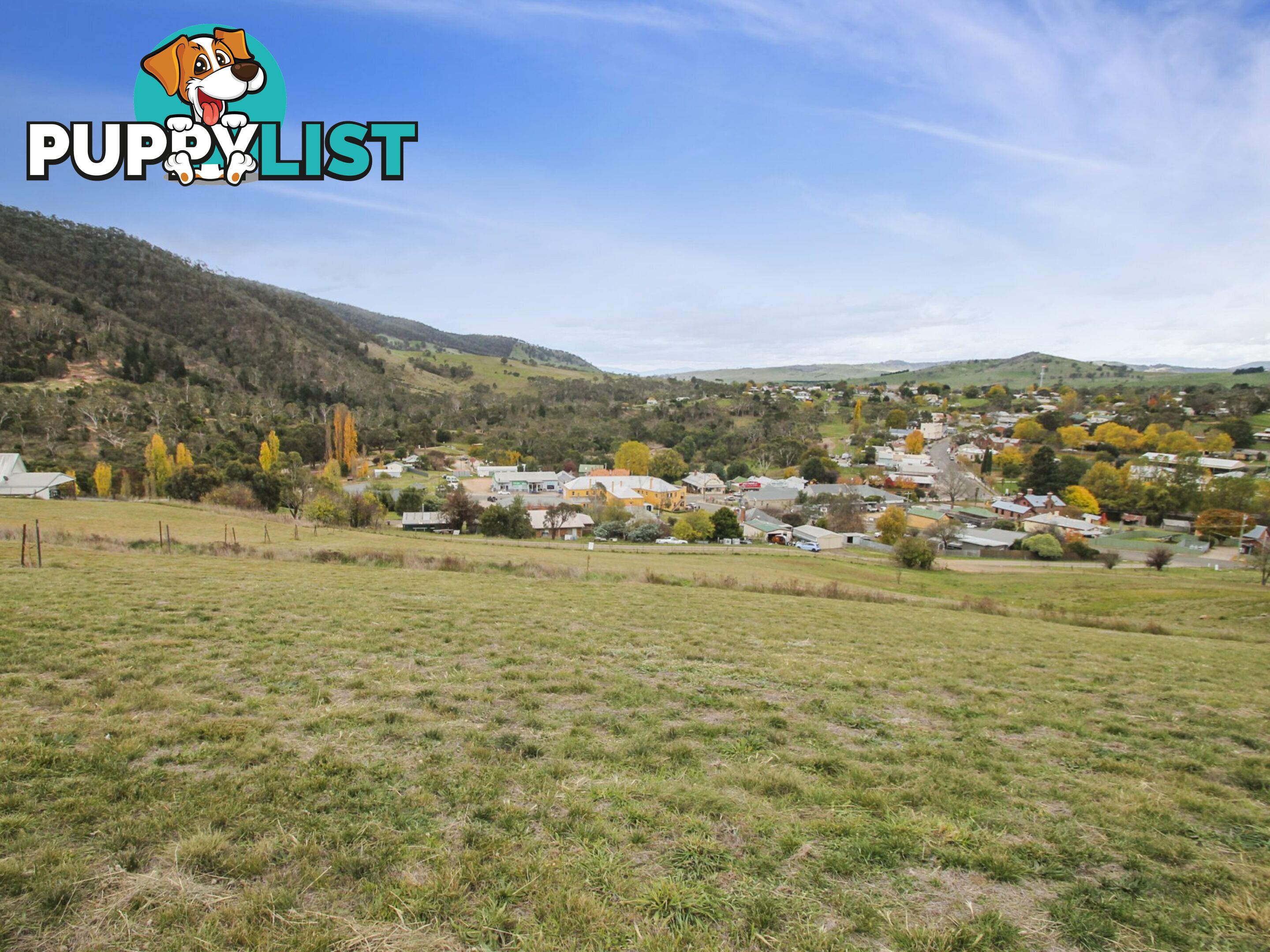 Lot Lot 64/11 Wills Street OMEO VIC 3898