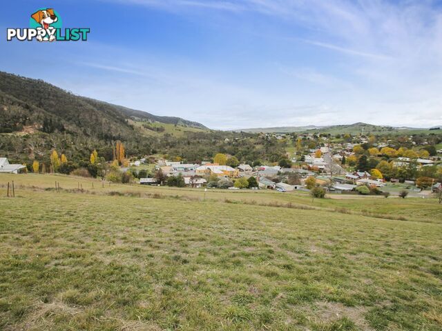 Lot Lot 64/11 Wills Street OMEO VIC 3898