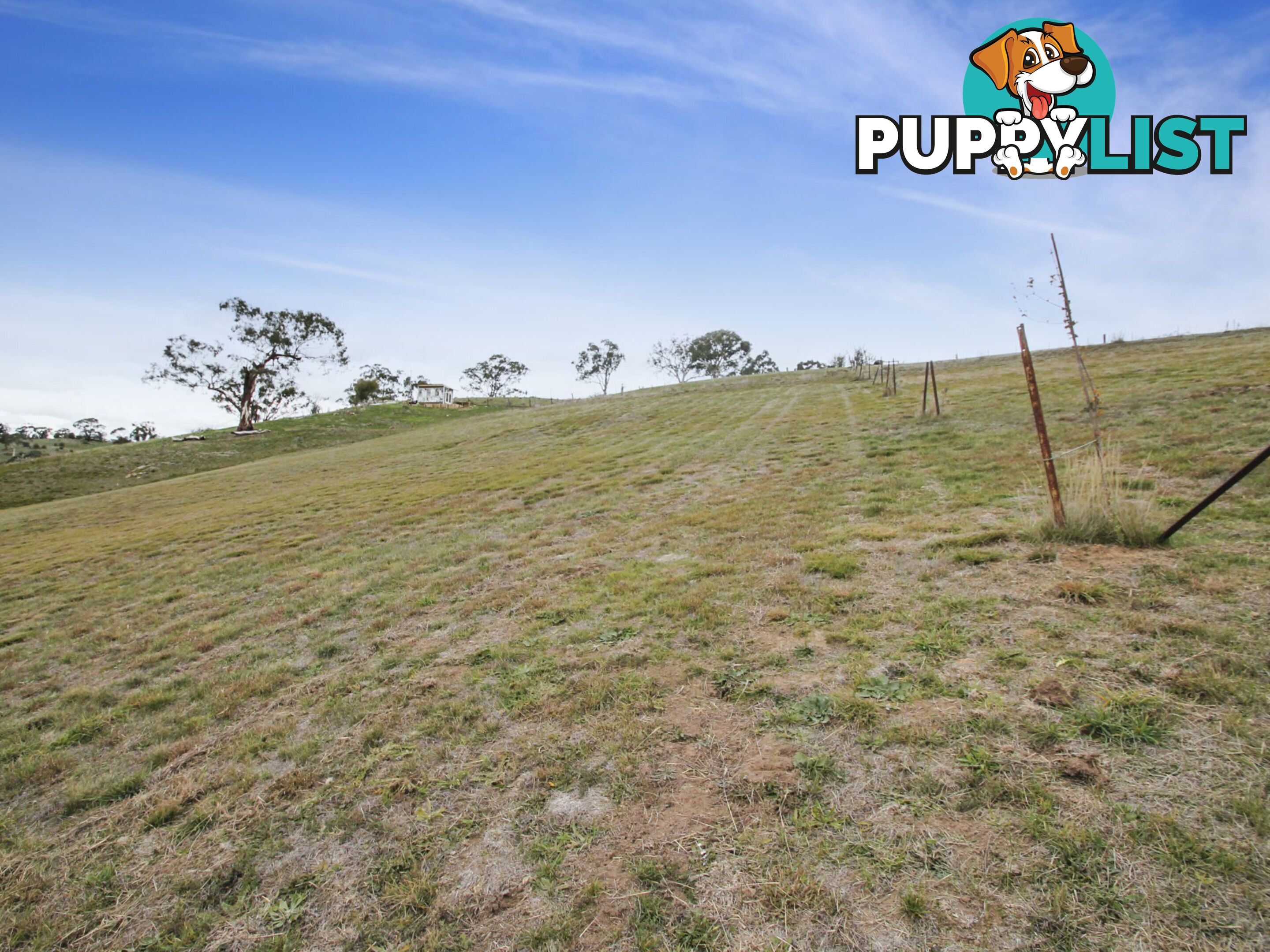 Lot Lot 64/11 Wills Street OMEO VIC 3898