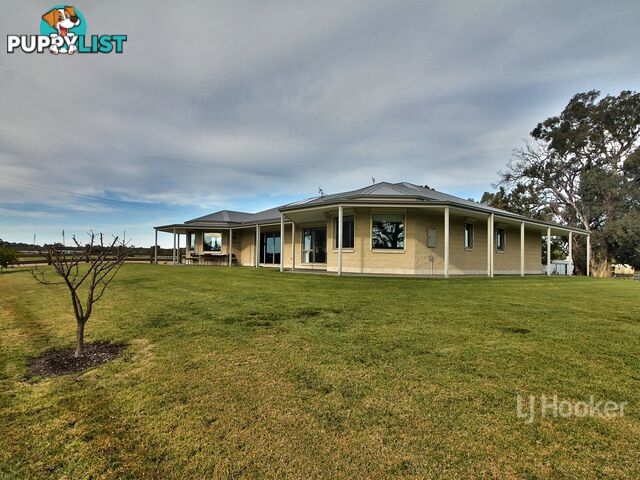 1 Neds Creek Drive NICHOLSON VIC 3882