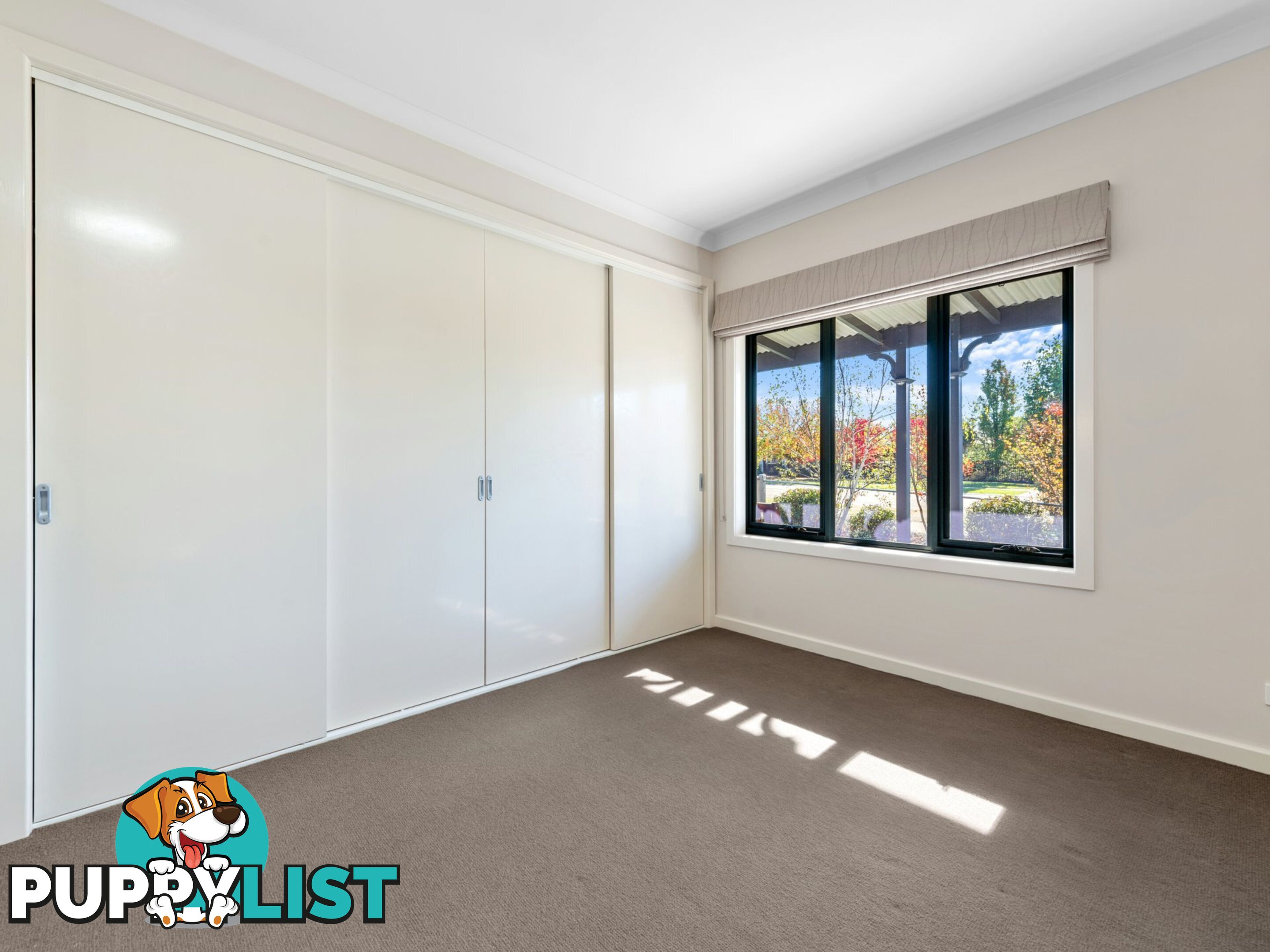 2 Morton Drive EASTWOOD VIC 3875