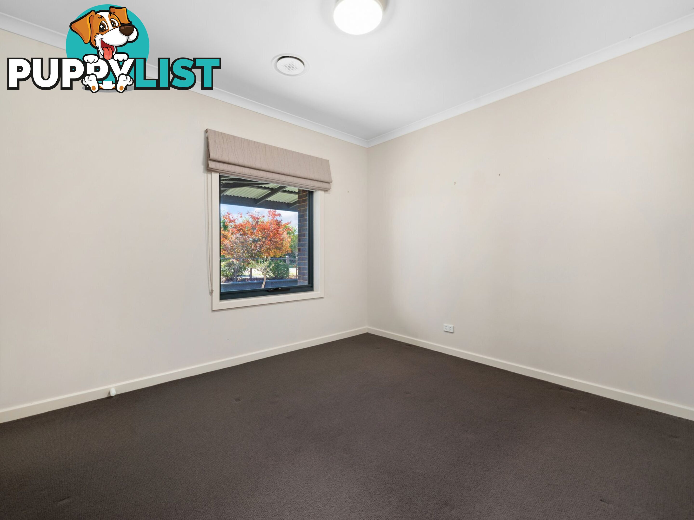 2 Morton Drive EASTWOOD VIC 3875