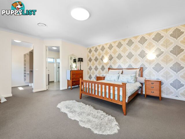 2 Morton Drive EASTWOOD VIC 3875