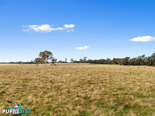 485 Lindenow Meerlieu Road LINDENOW SOUTH VIC 3875