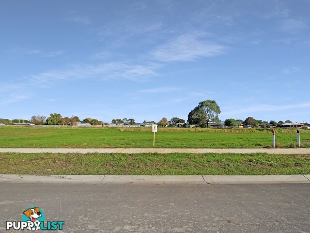 Lot 8/19 Clothier Crescent EAST BAIRNSDALE VIC 3875