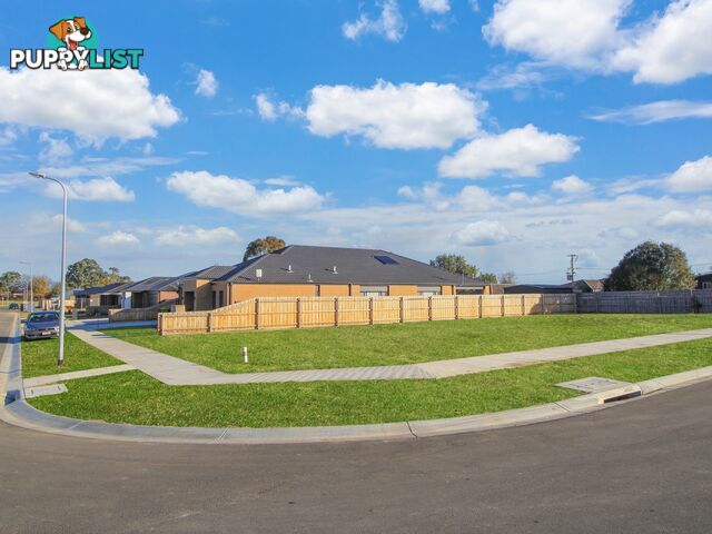 8 Royle Court EAST BAIRNSDALE VIC 3875