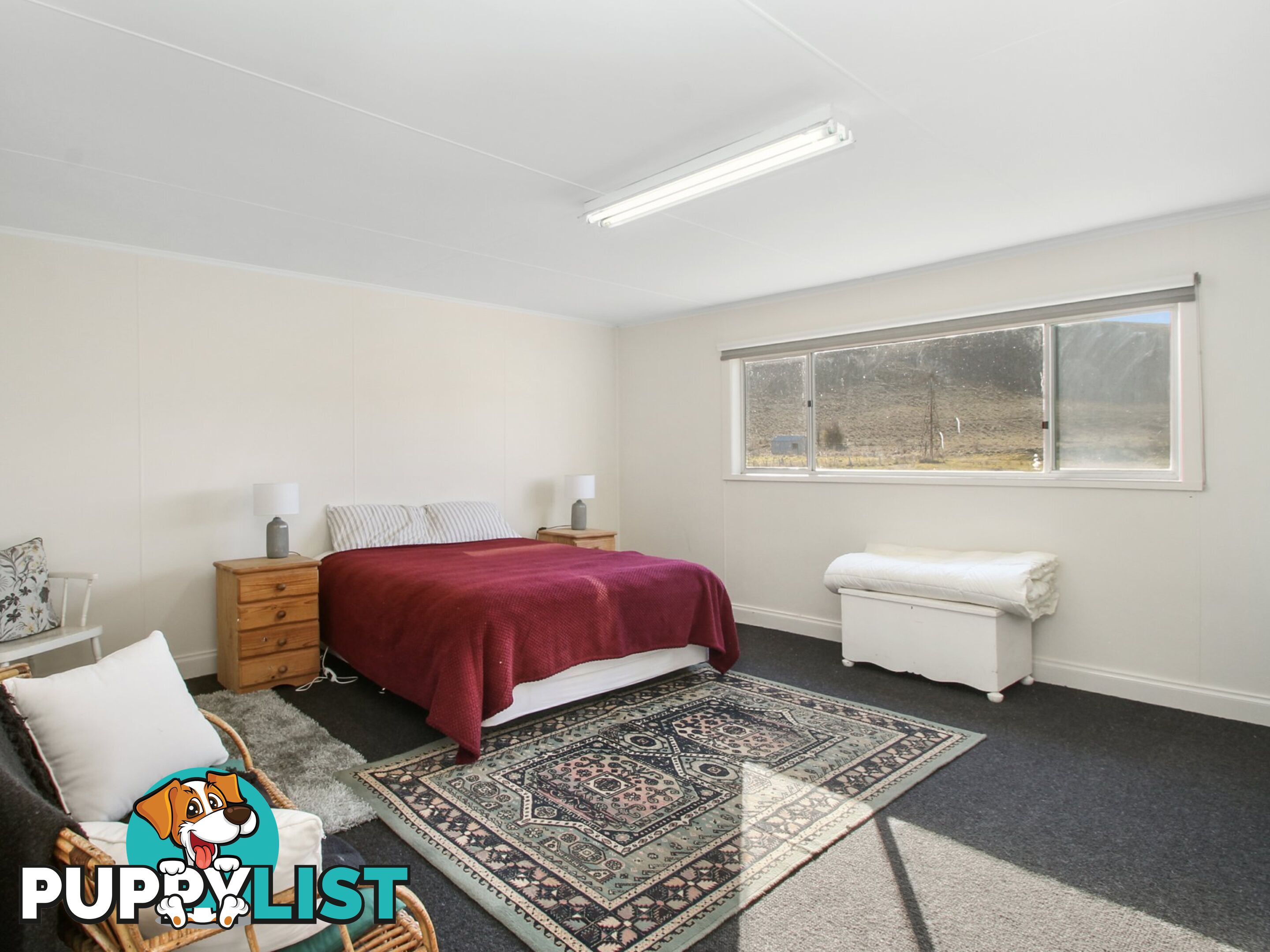 2011 Benambra Corryong Road BENAMBRA VIC 3900