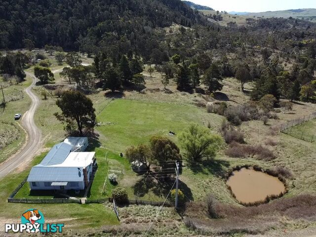 244 Day Avenue OMEO VIC 3898