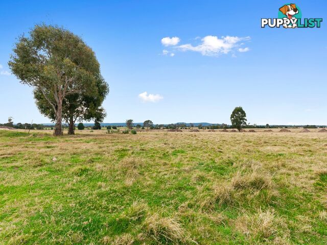 Lot 39/43 Hawkins Crescent LINDENOW SOUTH VIC 3875