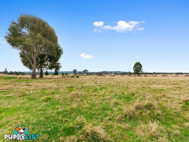 Lot 39/43 Hawkins Crescent LINDENOW SOUTH VIC 3875