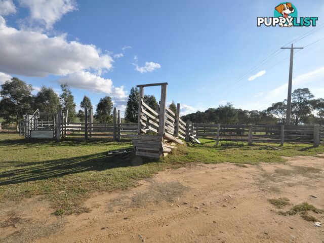 555 Baudinetts Road LINDENOW SOUTH VIC 3875