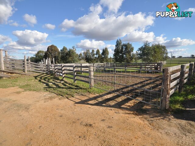 555 Baudinetts Road LINDENOW SOUTH VIC 3875