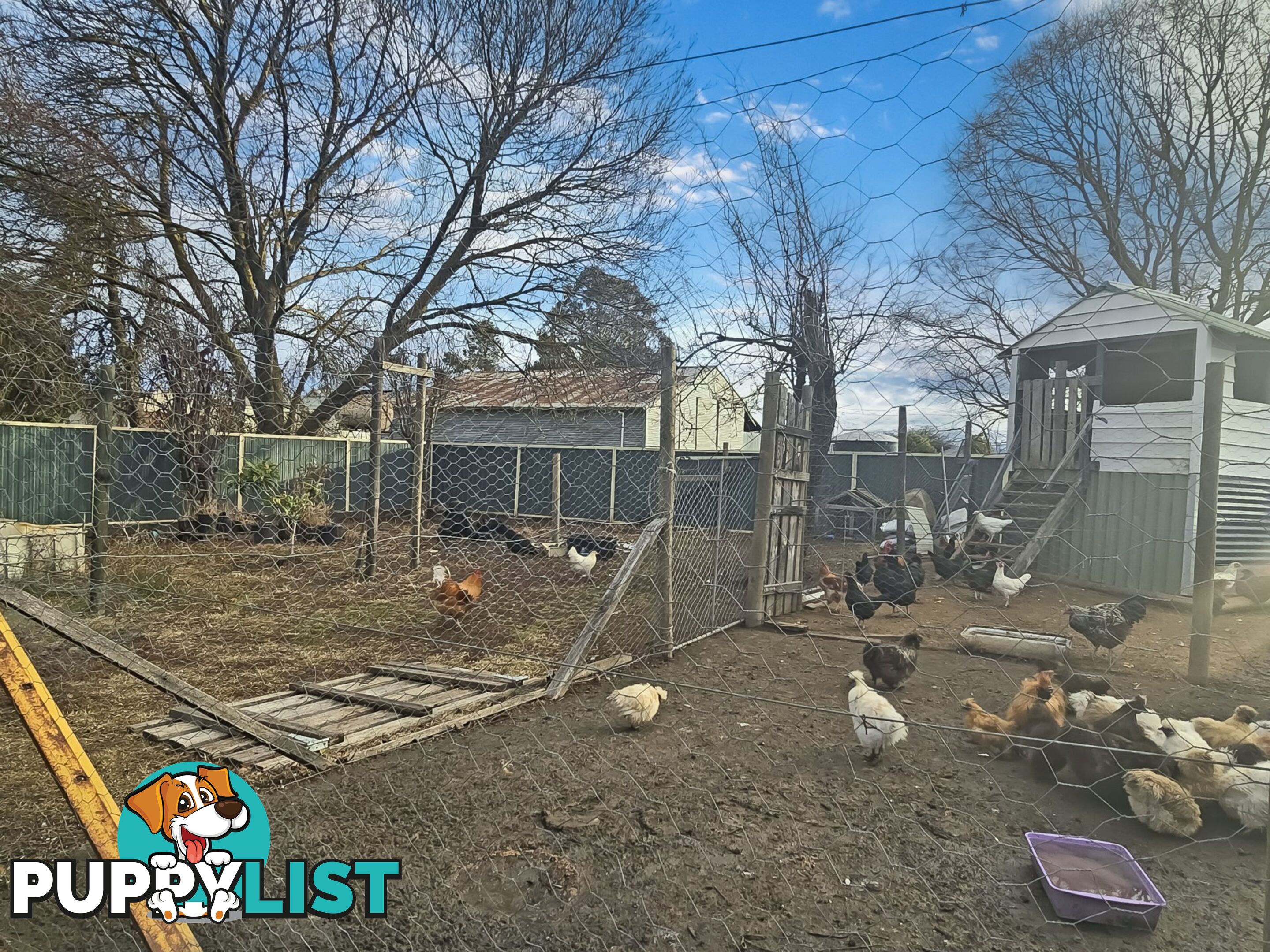 71-77 Foster Street BENAMBRA VIC 3900