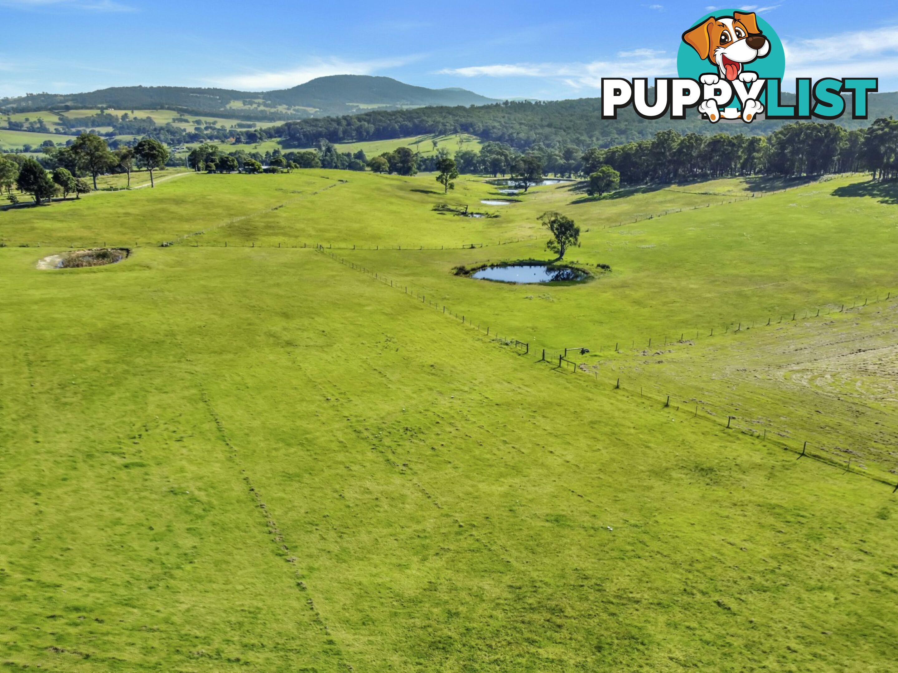 100 Hollingsworth Road CLIFTON CREEK VIC 3875