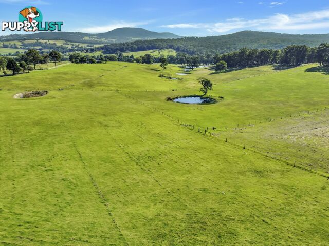 100 Hollingsworth Road CLIFTON CREEK VIC 3875