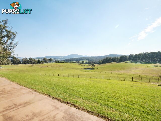 100 Hollingsworth Road CLIFTON CREEK VIC 3875