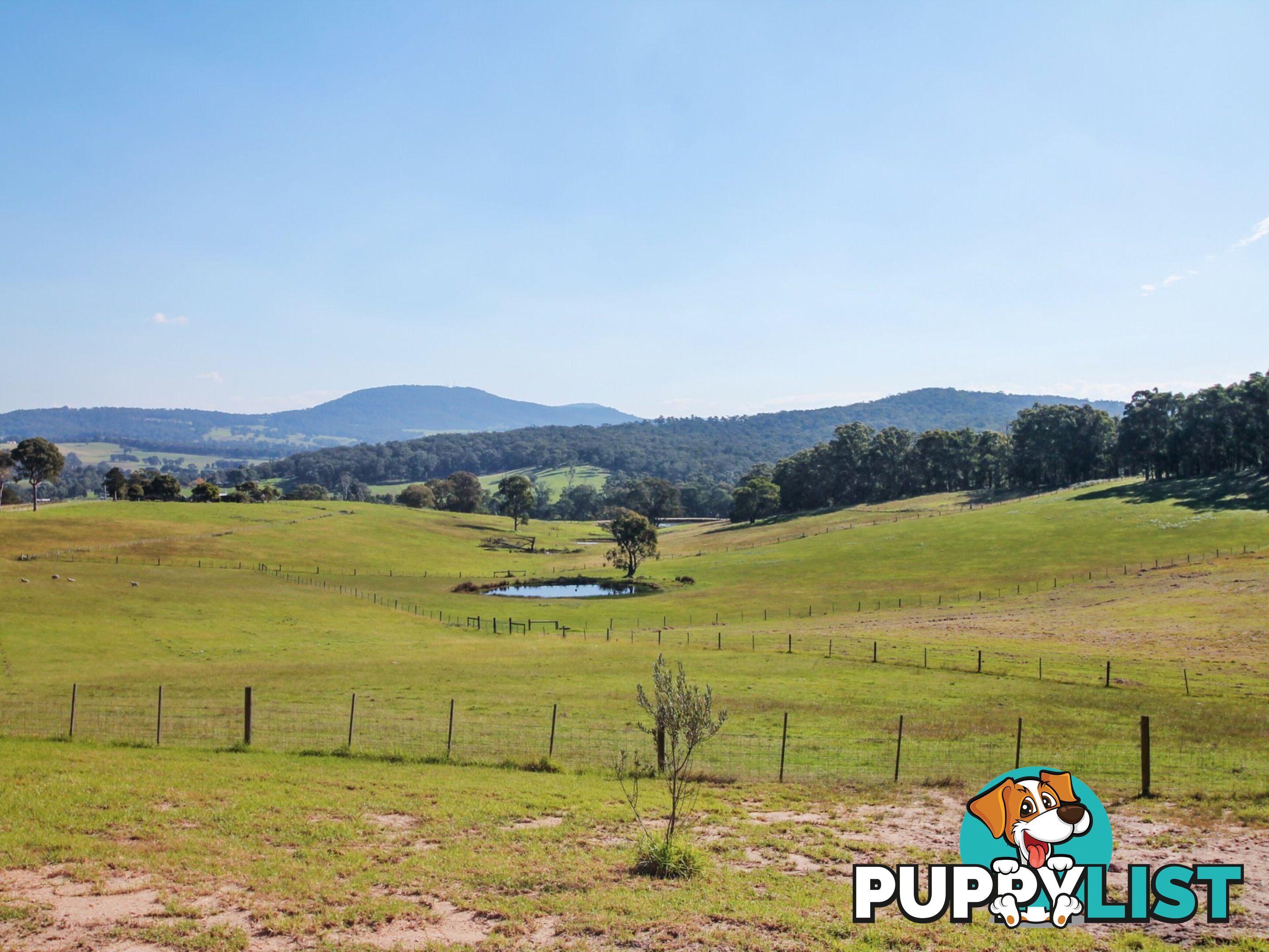 100 Hollingsworth Road CLIFTON CREEK VIC 3875