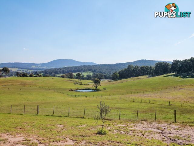100 Hollingsworth Road CLIFTON CREEK VIC 3875