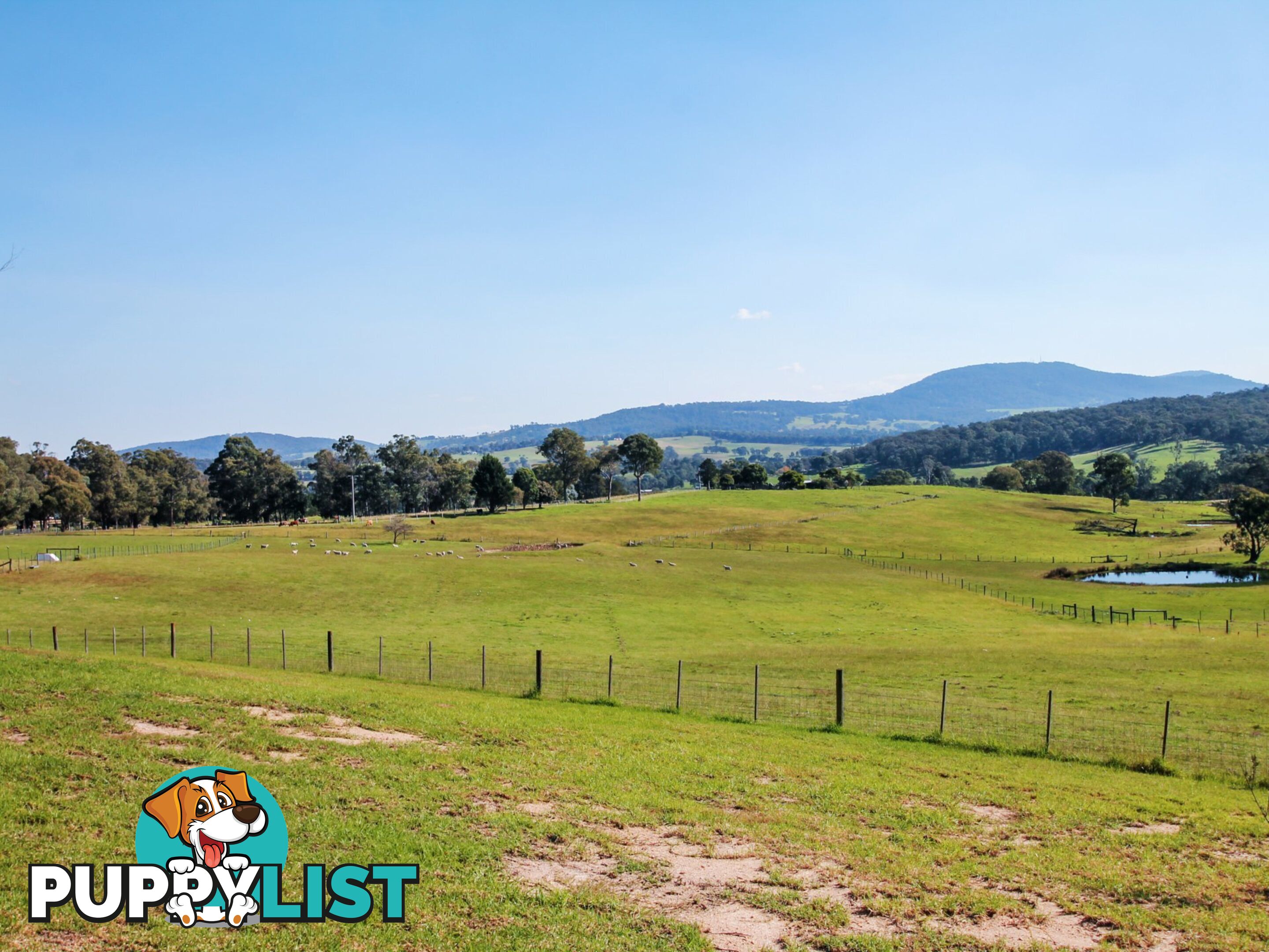100 Hollingsworth Road CLIFTON CREEK VIC 3875