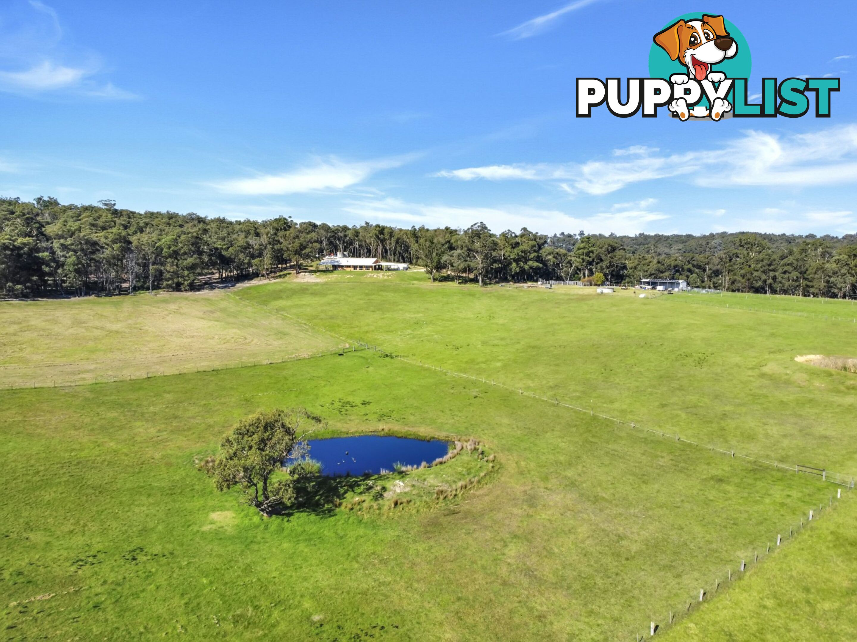 100 Hollingsworth Road CLIFTON CREEK VIC 3875