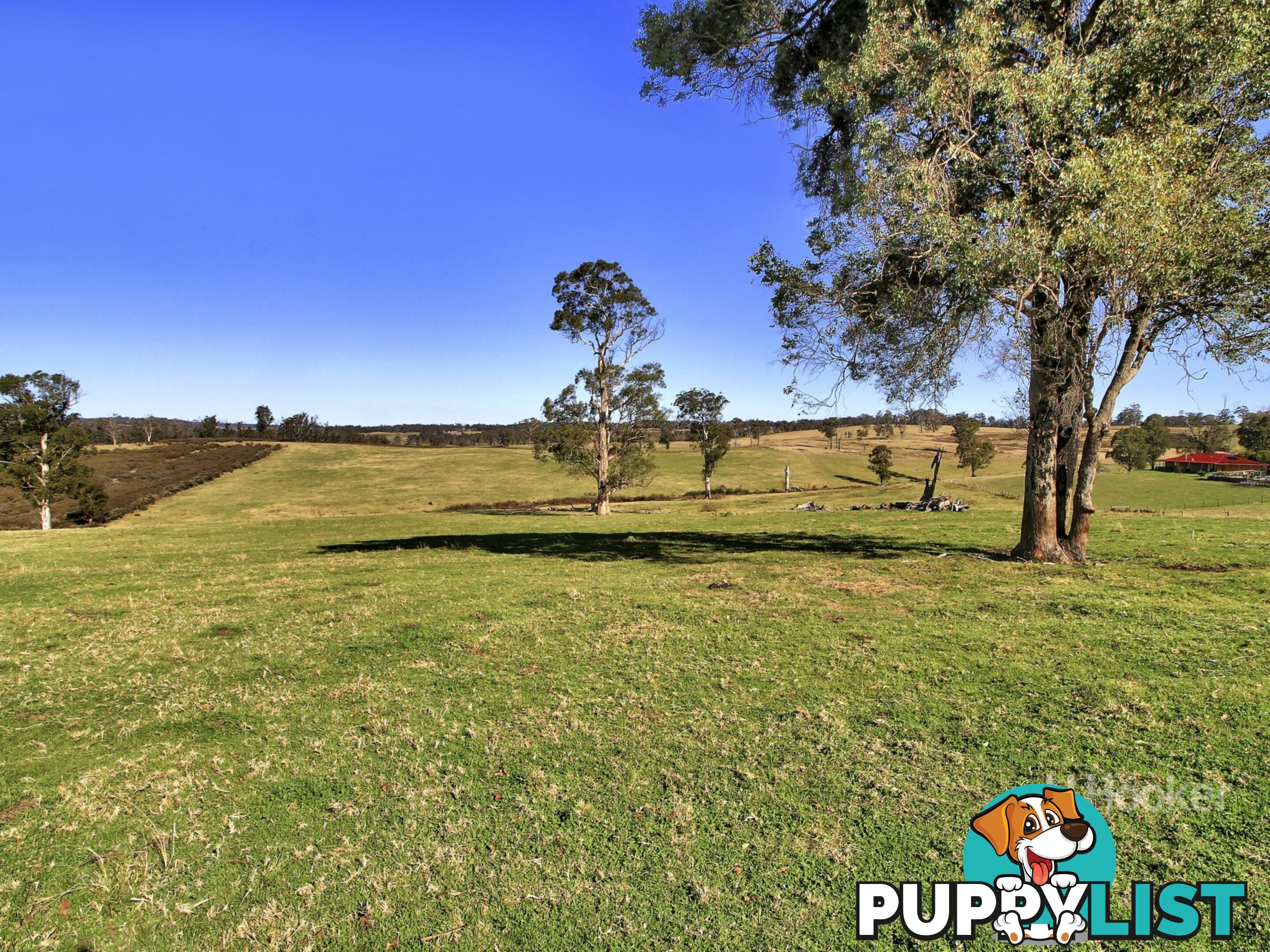 1738 Great Alpine Road SARSFIELD VIC 3875