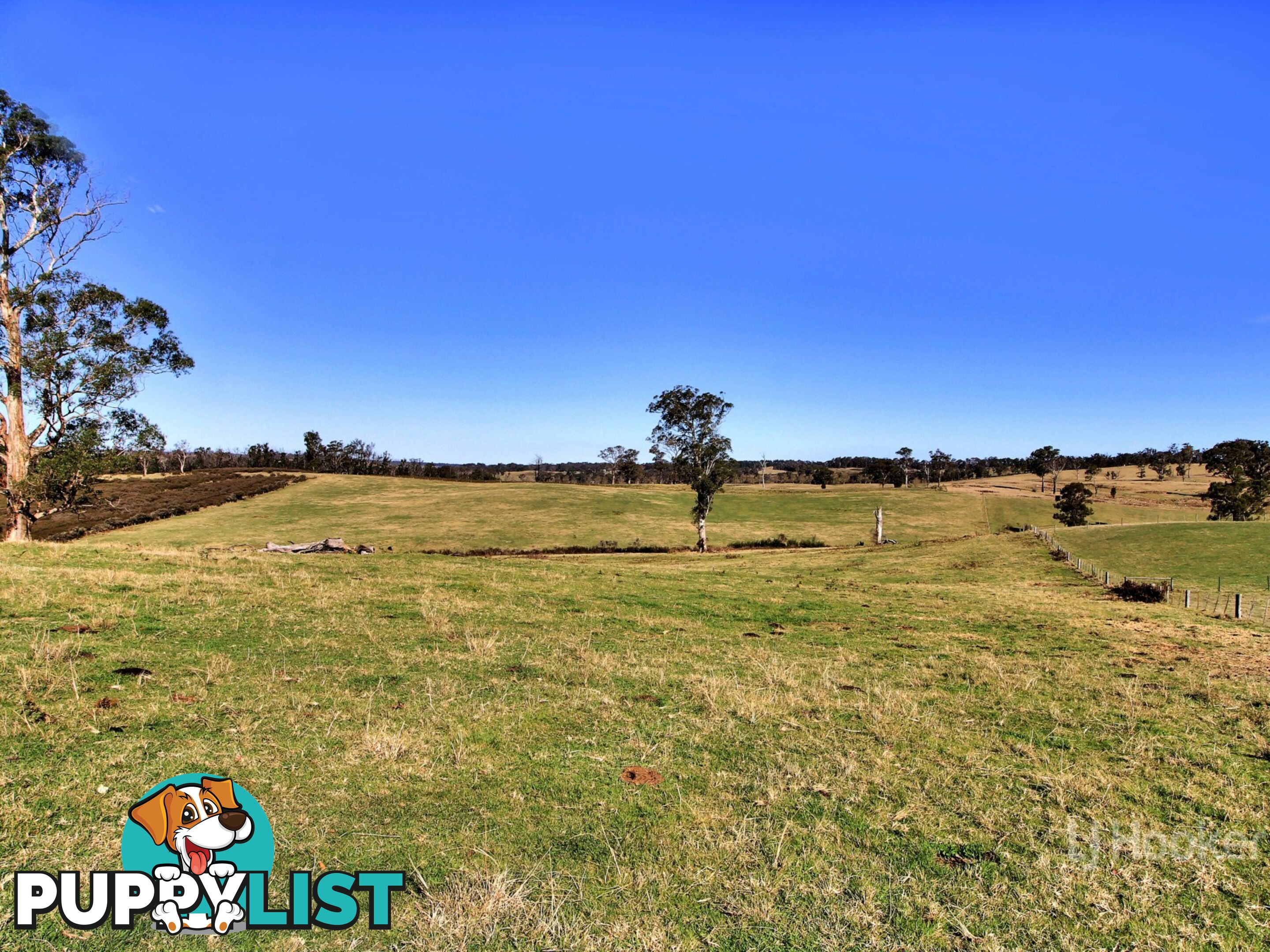 1738 Great Alpine Road SARSFIELD VIC 3875