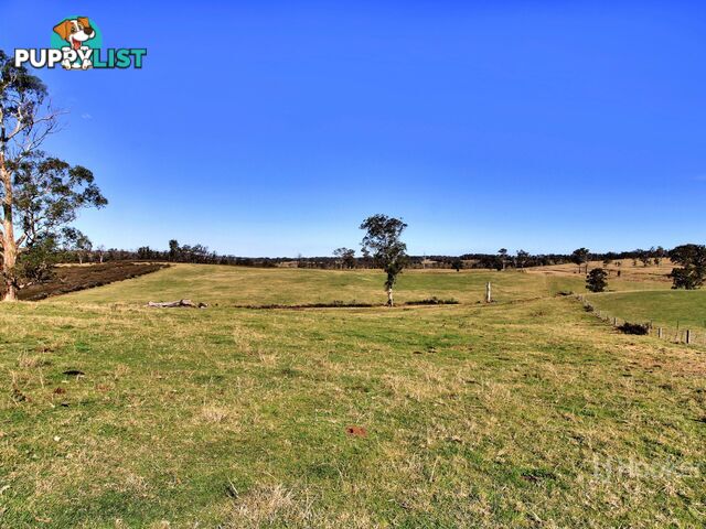 1738 Great Alpine Road SARSFIELD VIC 3875