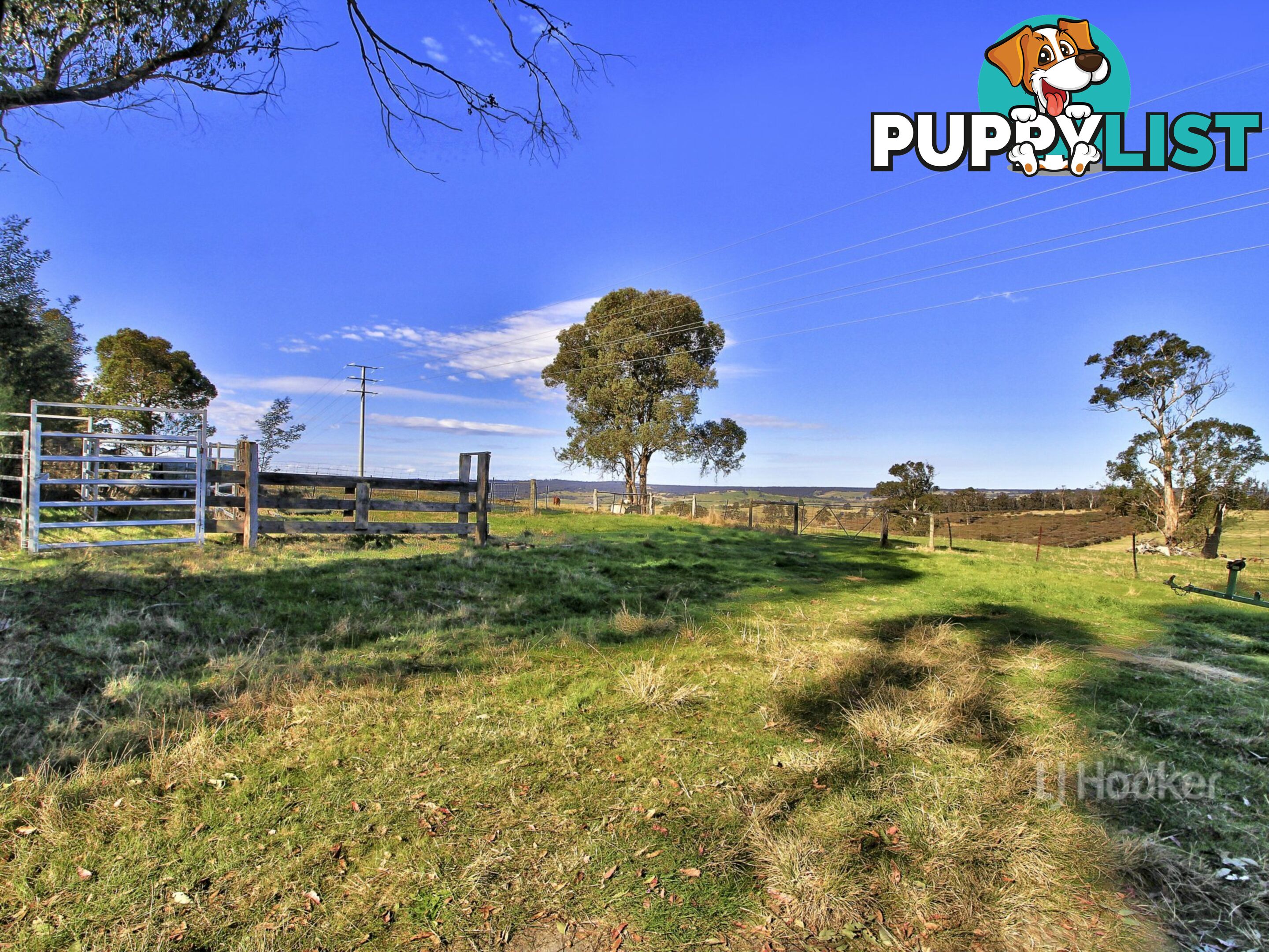 1738 Great Alpine Road SARSFIELD VIC 3875