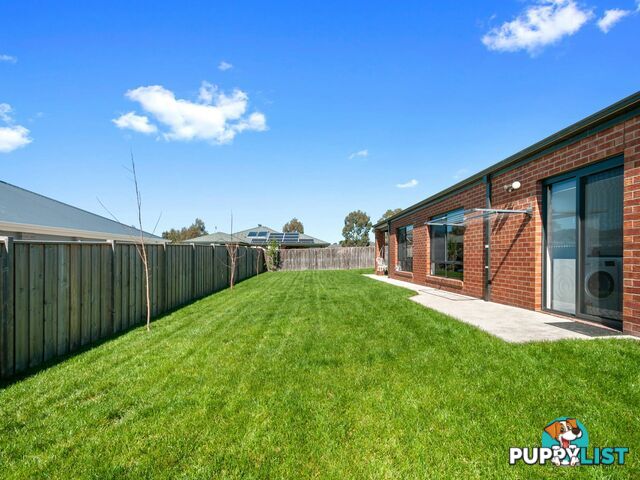 16 Flaxlilly Court BAIRNSDALE VIC 3875