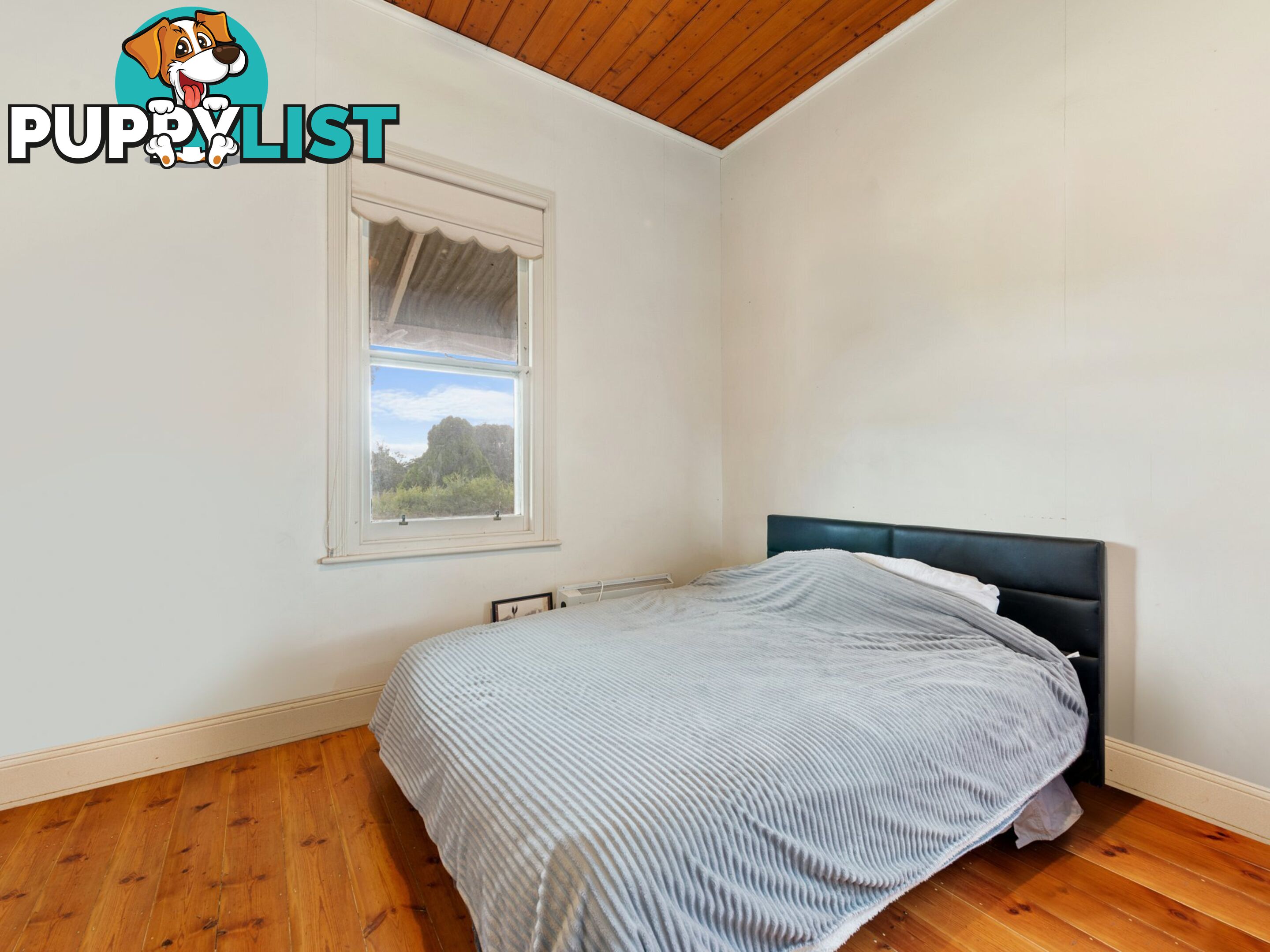 19B Macrae Street EAST BAIRNSDALE VIC 3875