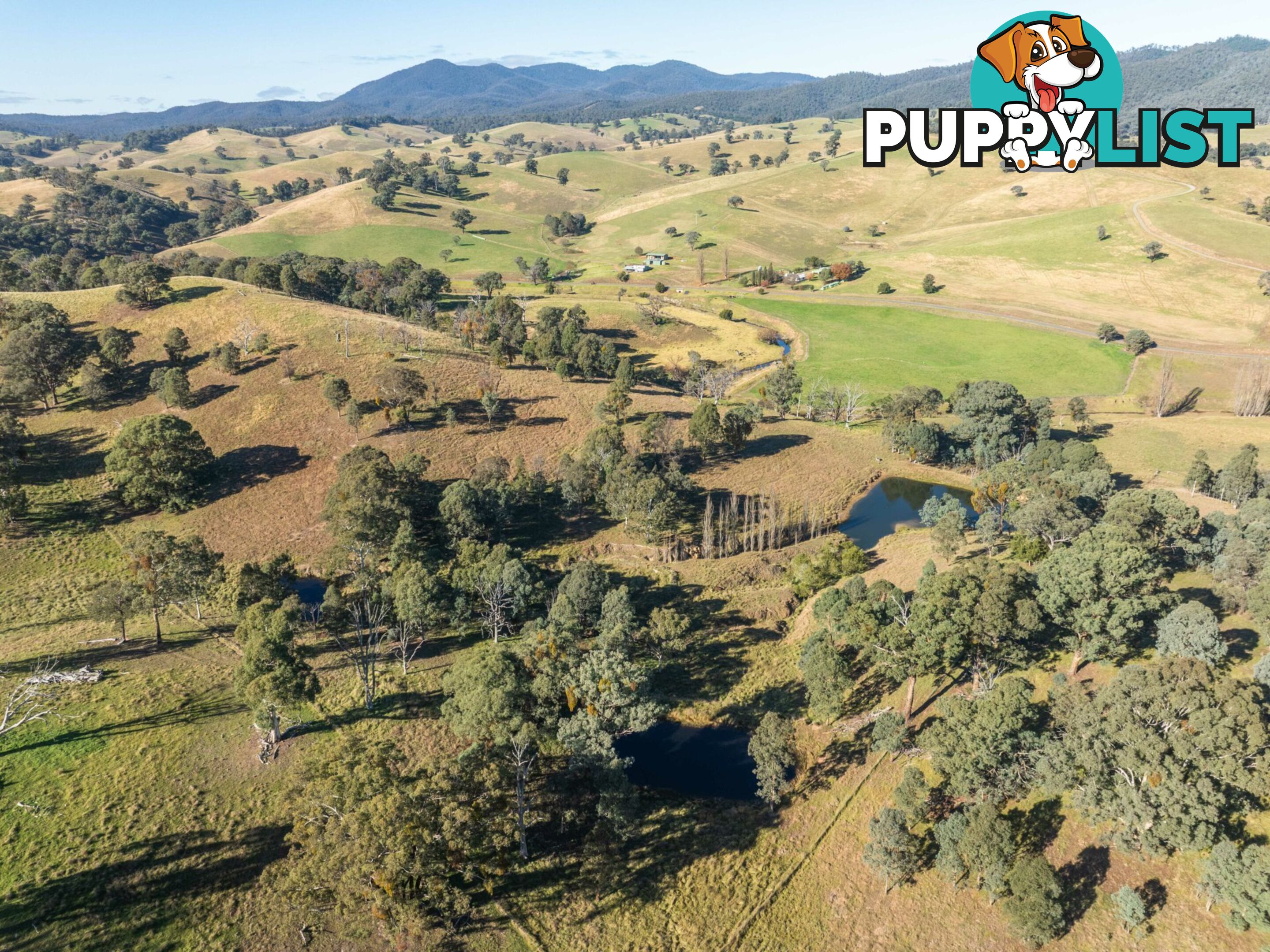 3 & 4 Sandy Creek Road REEDY FLAT VIC 3895