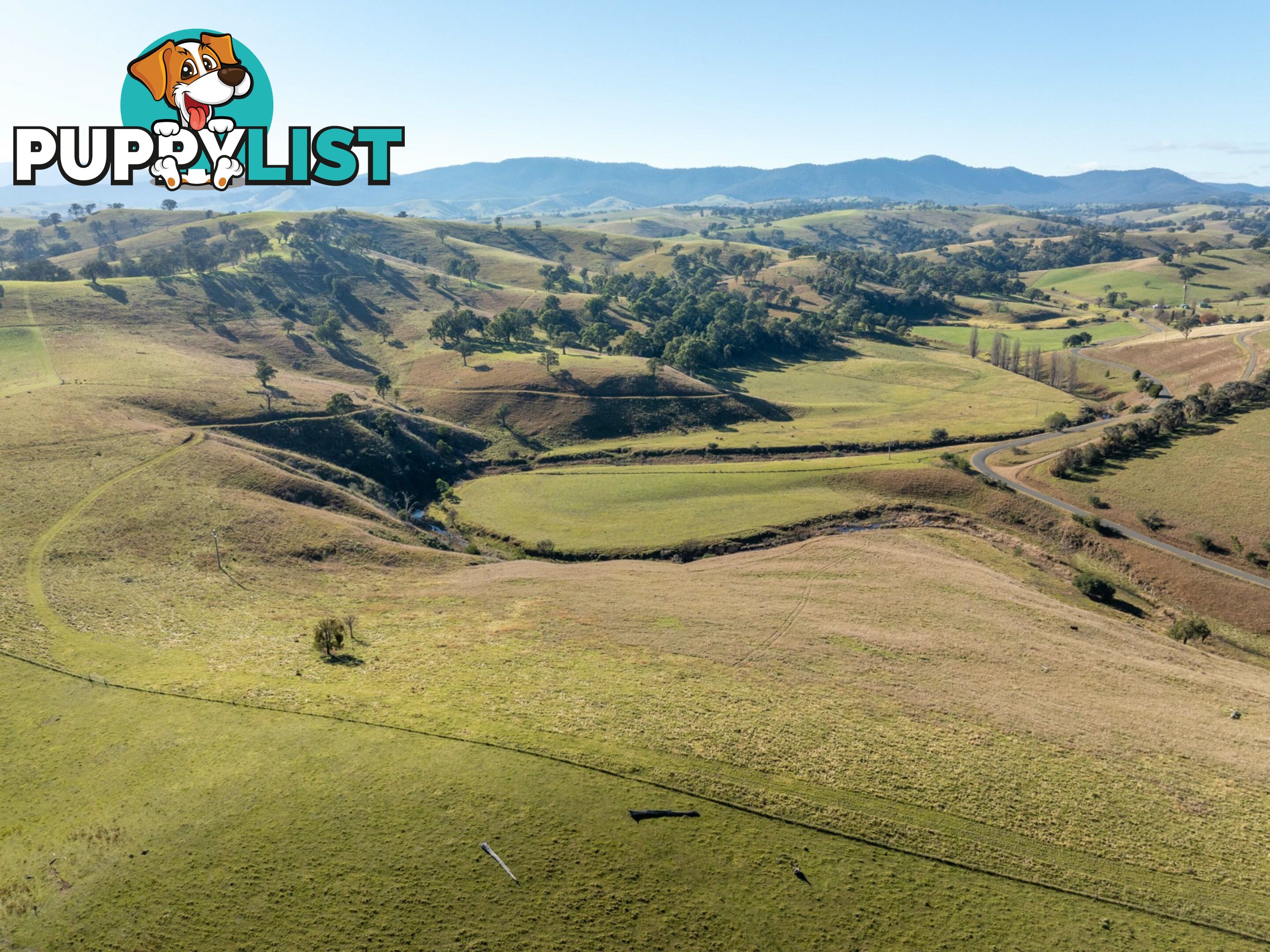 3 & 4 Sandy Creek Road REEDY FLAT VIC 3895