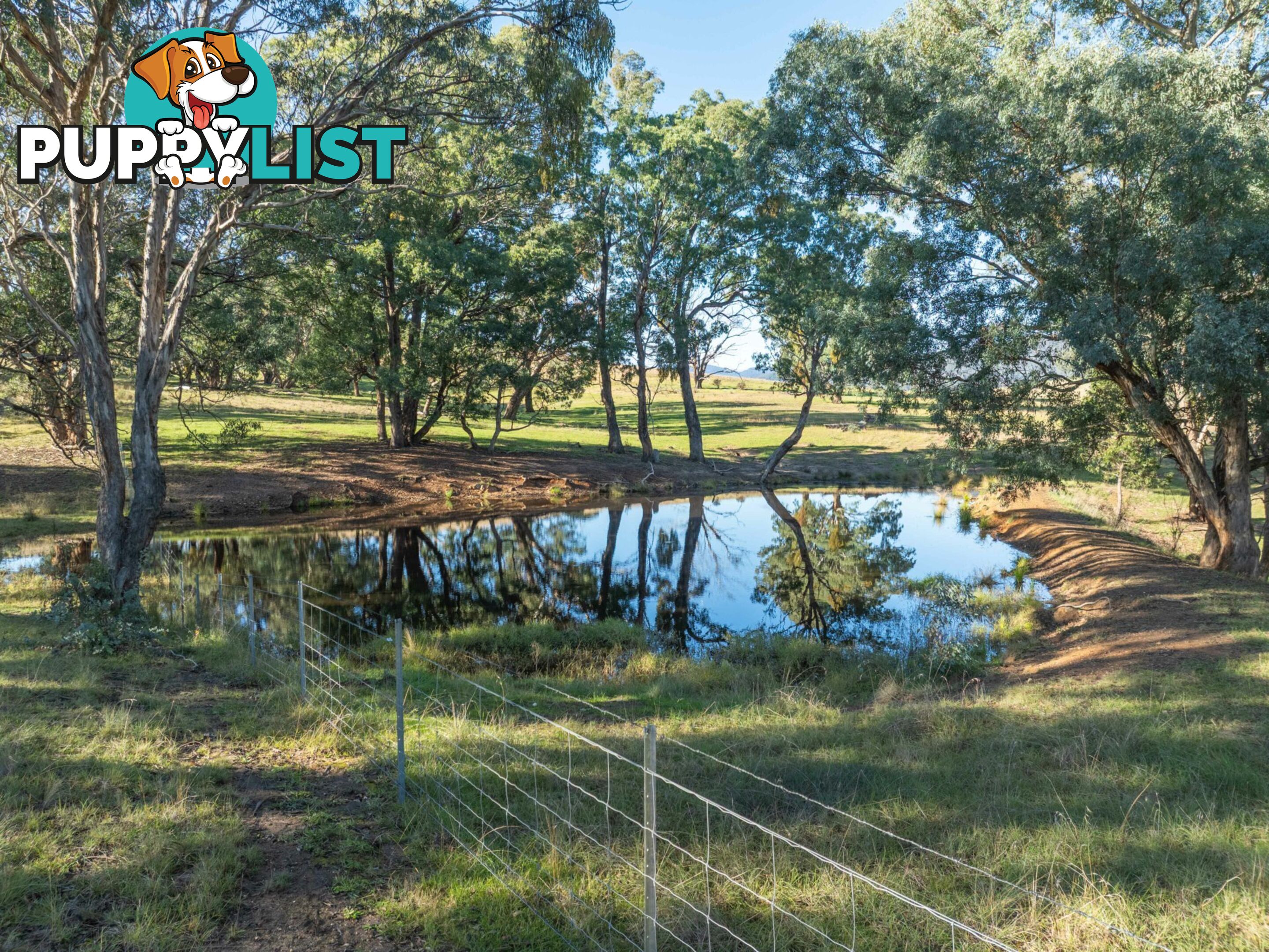 3 & 4 Sandy Creek Road REEDY FLAT VIC 3895