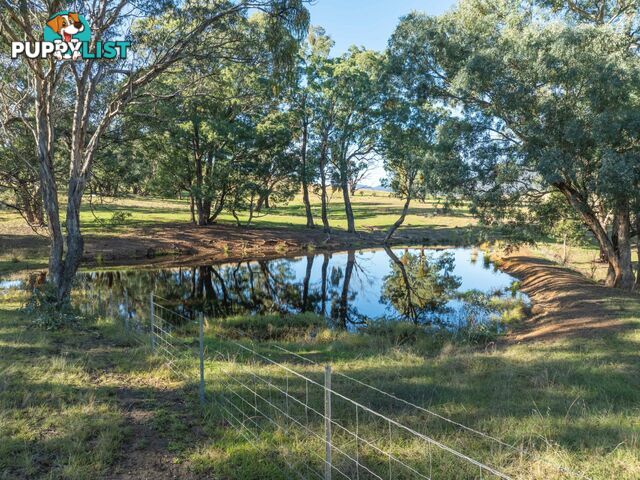 3 & 4 Sandy Creek Road REEDY FLAT VIC 3895