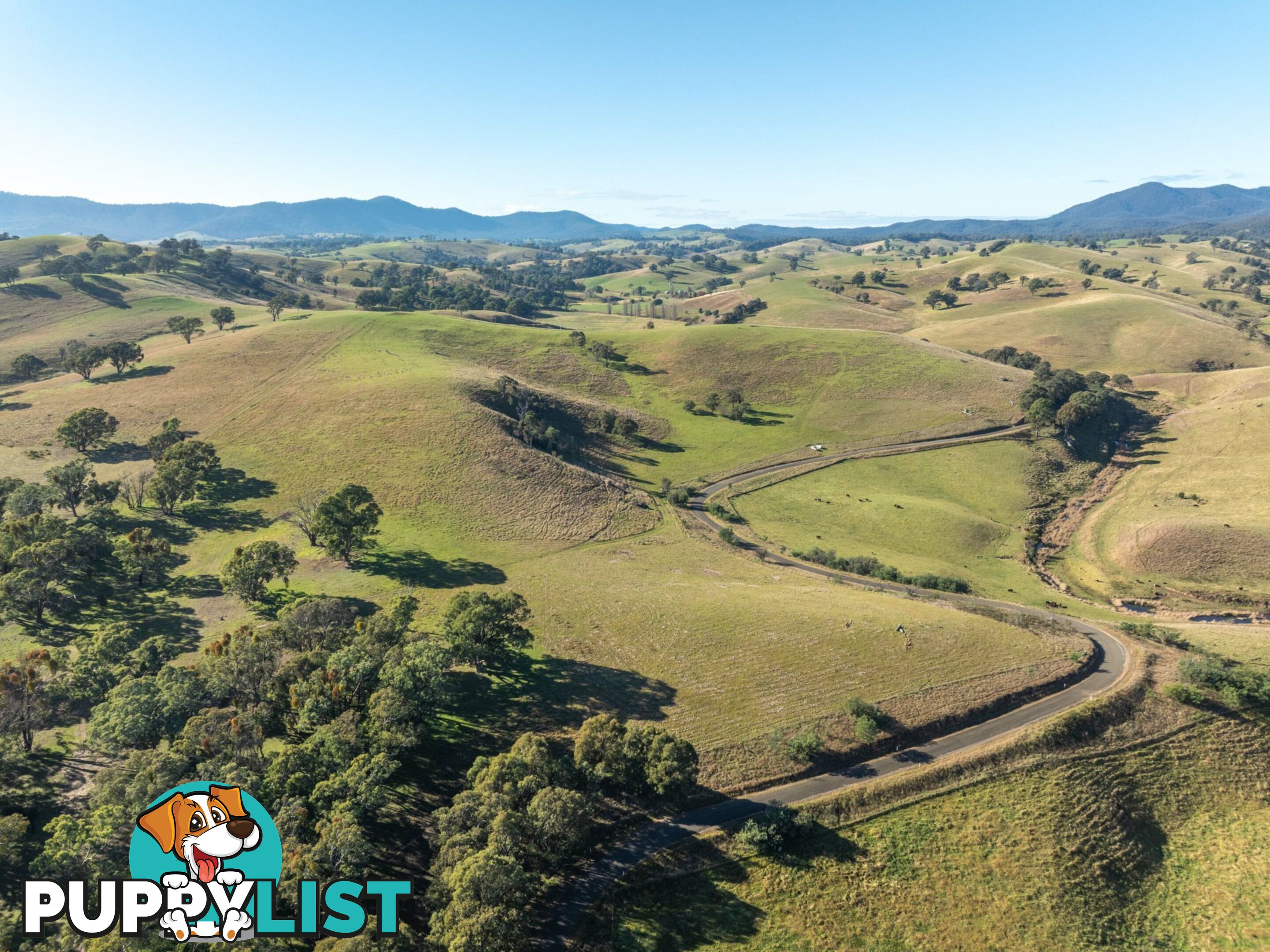3 & 4 Sandy Creek Road REEDY FLAT VIC 3895