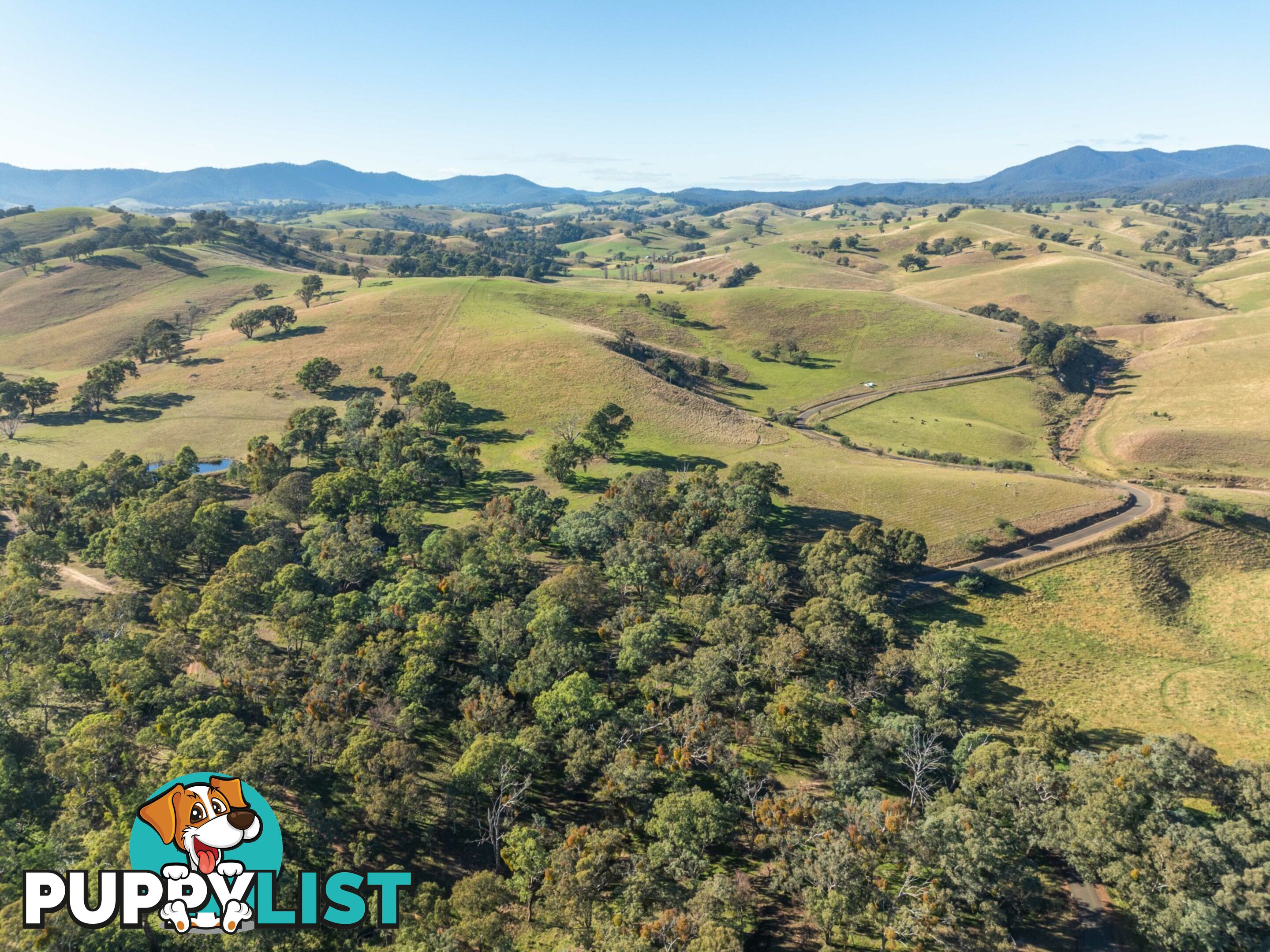 3 & 4 Sandy Creek Road REEDY FLAT VIC 3895