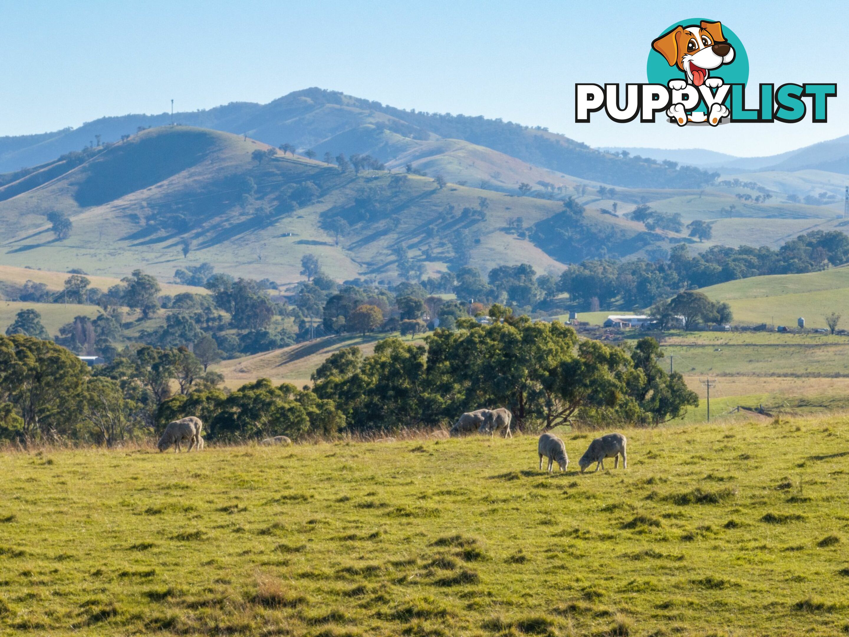 3 & 4 Sandy Creek Road REEDY FLAT VIC 3895