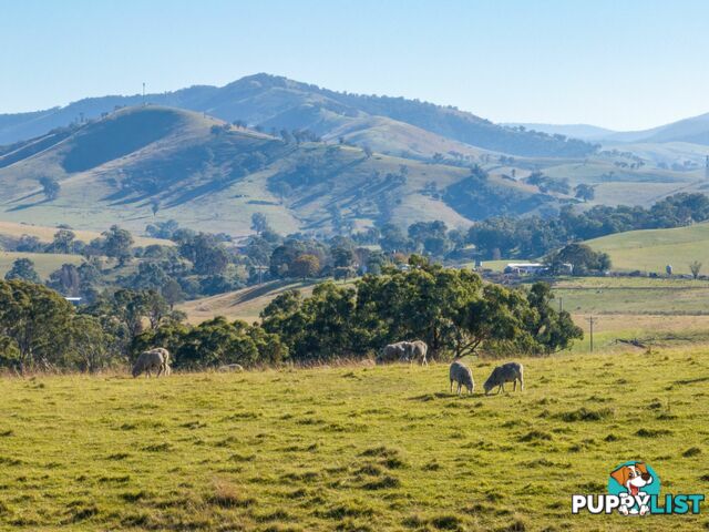 3 & 4 Sandy Creek Road REEDY FLAT VIC 3895