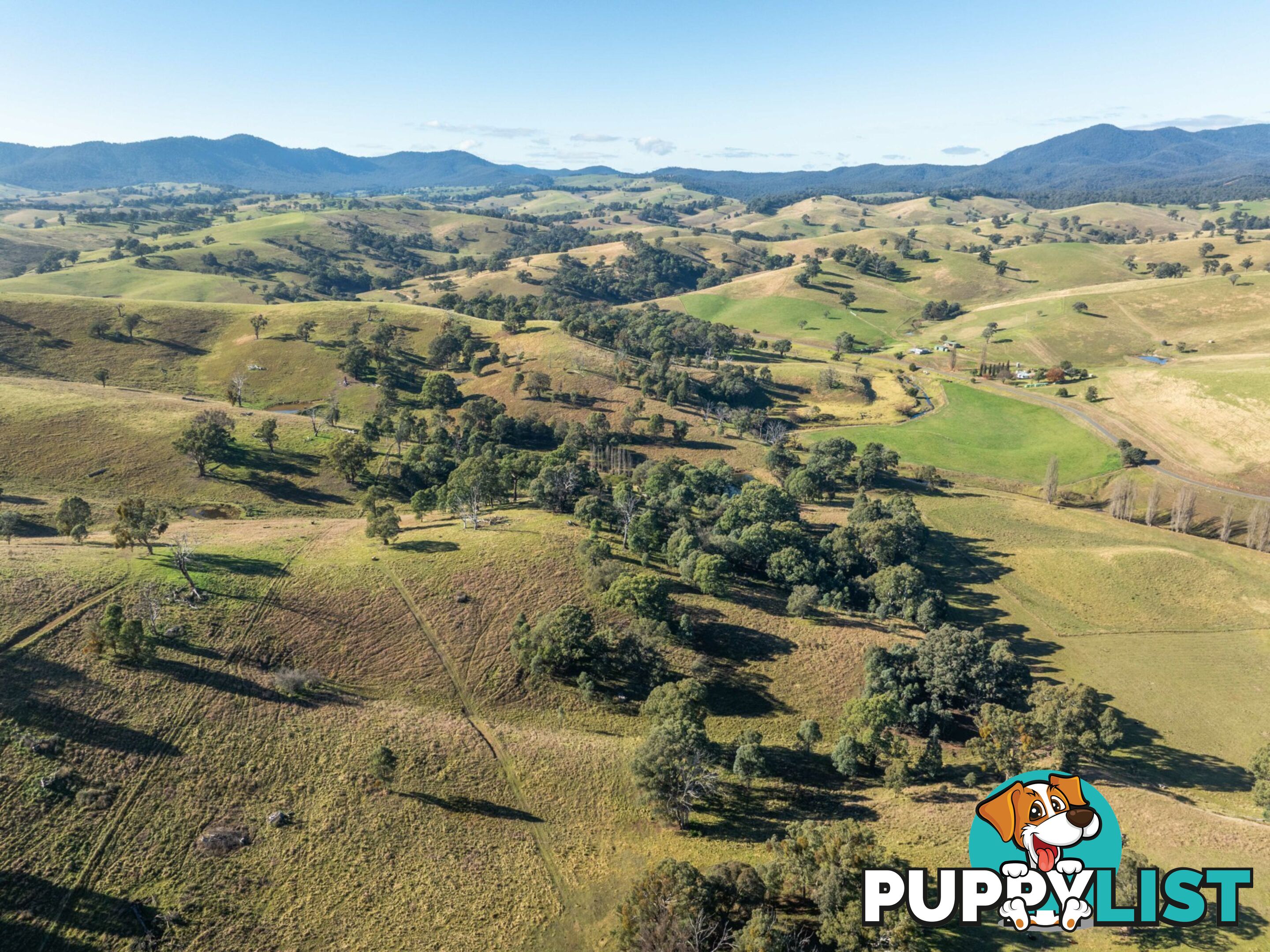 3 & 4 Sandy Creek Road REEDY FLAT VIC 3895