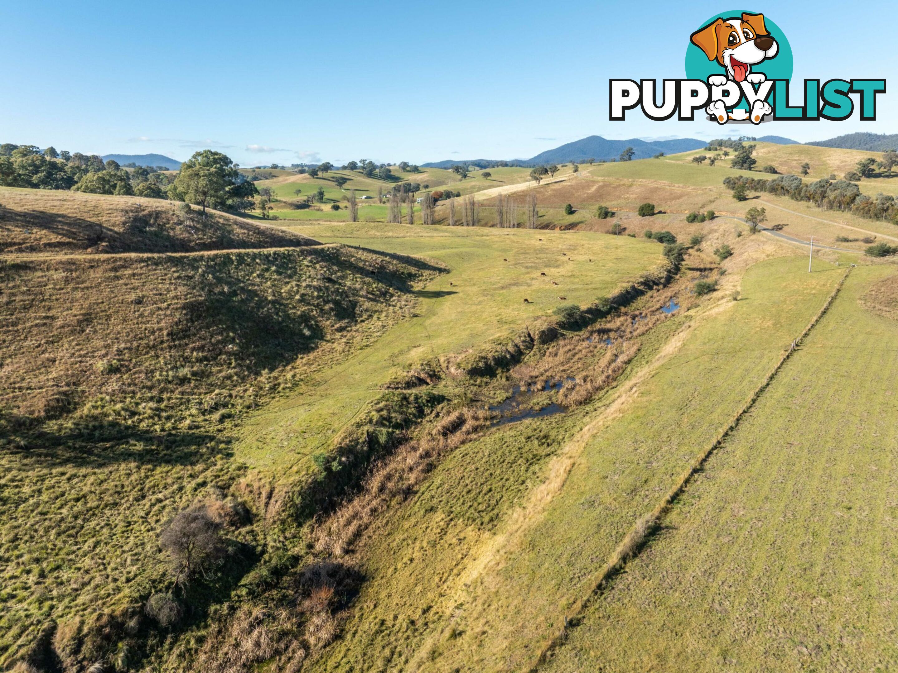 3 & 4 Sandy Creek Road REEDY FLAT VIC 3895