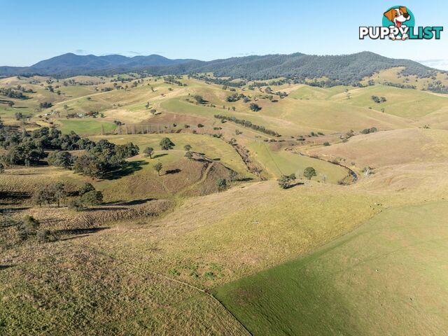 3 & 4 Sandy Creek Road REEDY FLAT VIC 3895