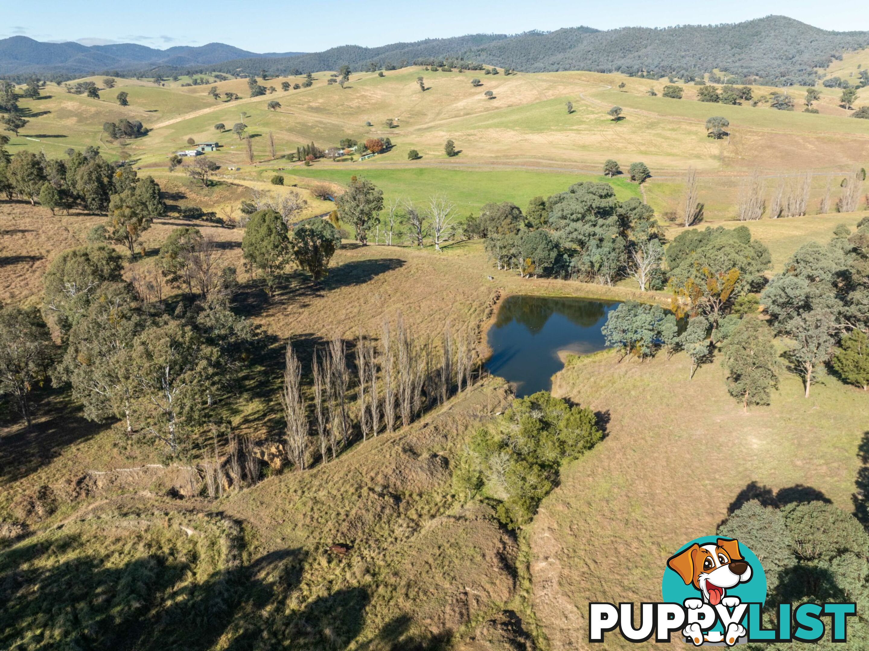 3 & 4 Sandy Creek Road REEDY FLAT VIC 3895