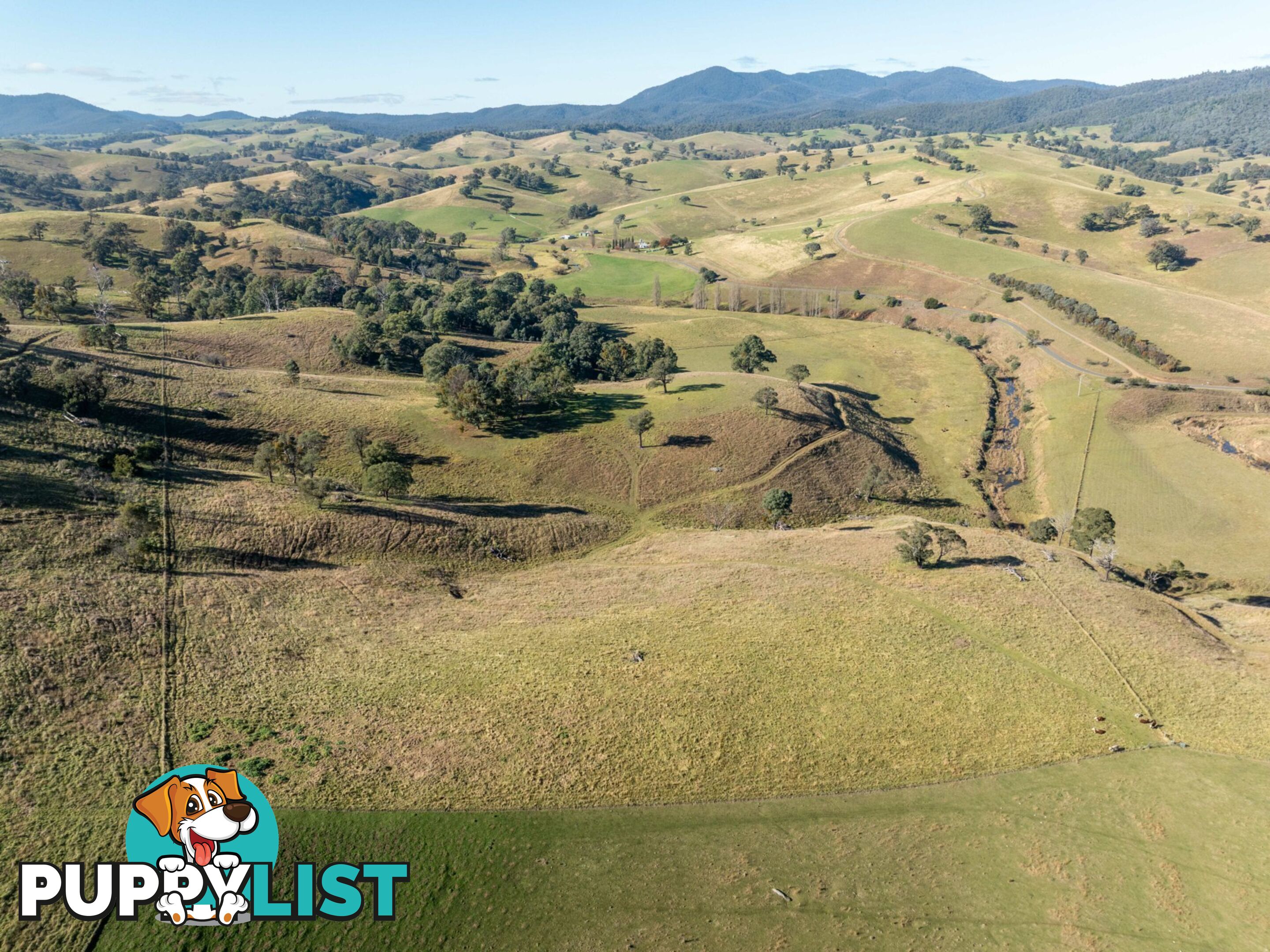3 & 4 Sandy Creek Road REEDY FLAT VIC 3895