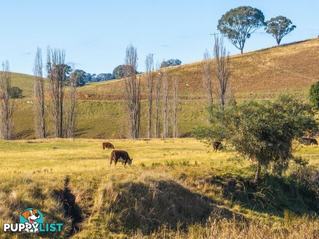 3 & 4 Sandy Creek Road REEDY FLAT VIC 3895