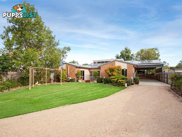 31 Pope Street BAIRNSDALE VIC 3875